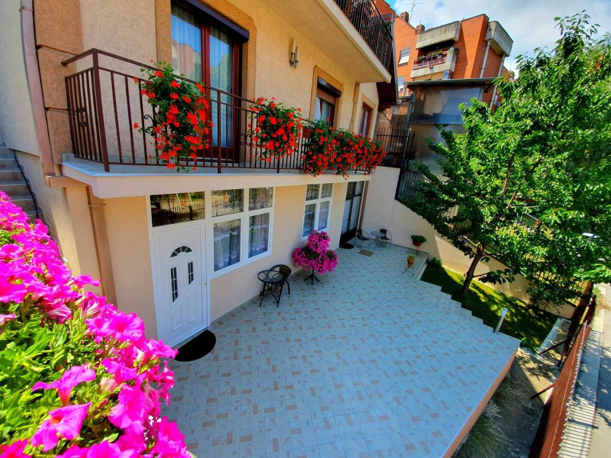 Nilena Apartmani 스메데레보 외부 사진